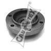 CAUTEX 160070 Wheel Hub